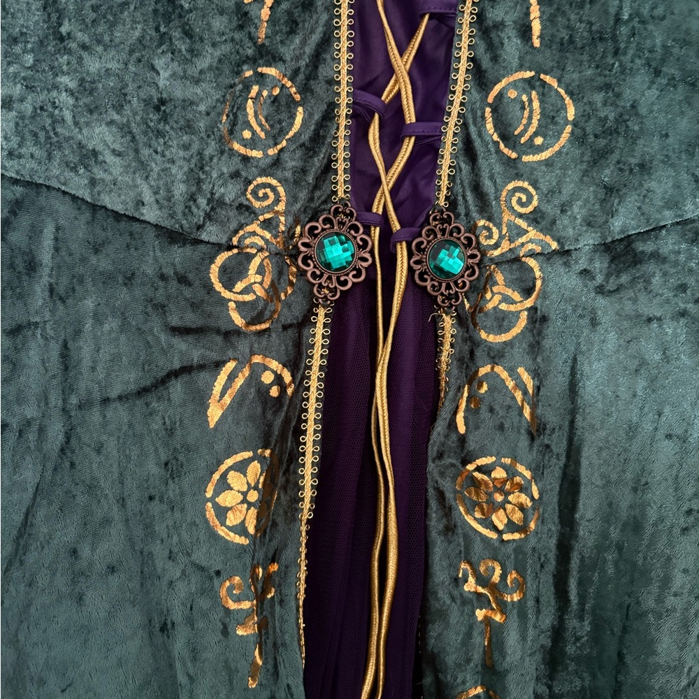 Hocus Pocus Sanderson Sisters Costumes - Picture 7 of 11